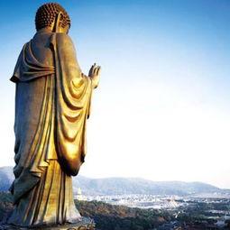 大佛爆料结婚视频大全下载,甜蜜瞬间尽收眼底